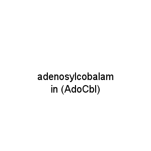 adenosylcobalamin (AdoCbl)